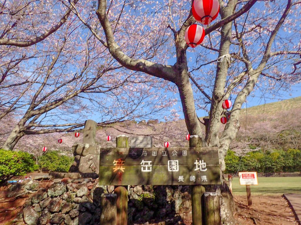 箕岳の桜